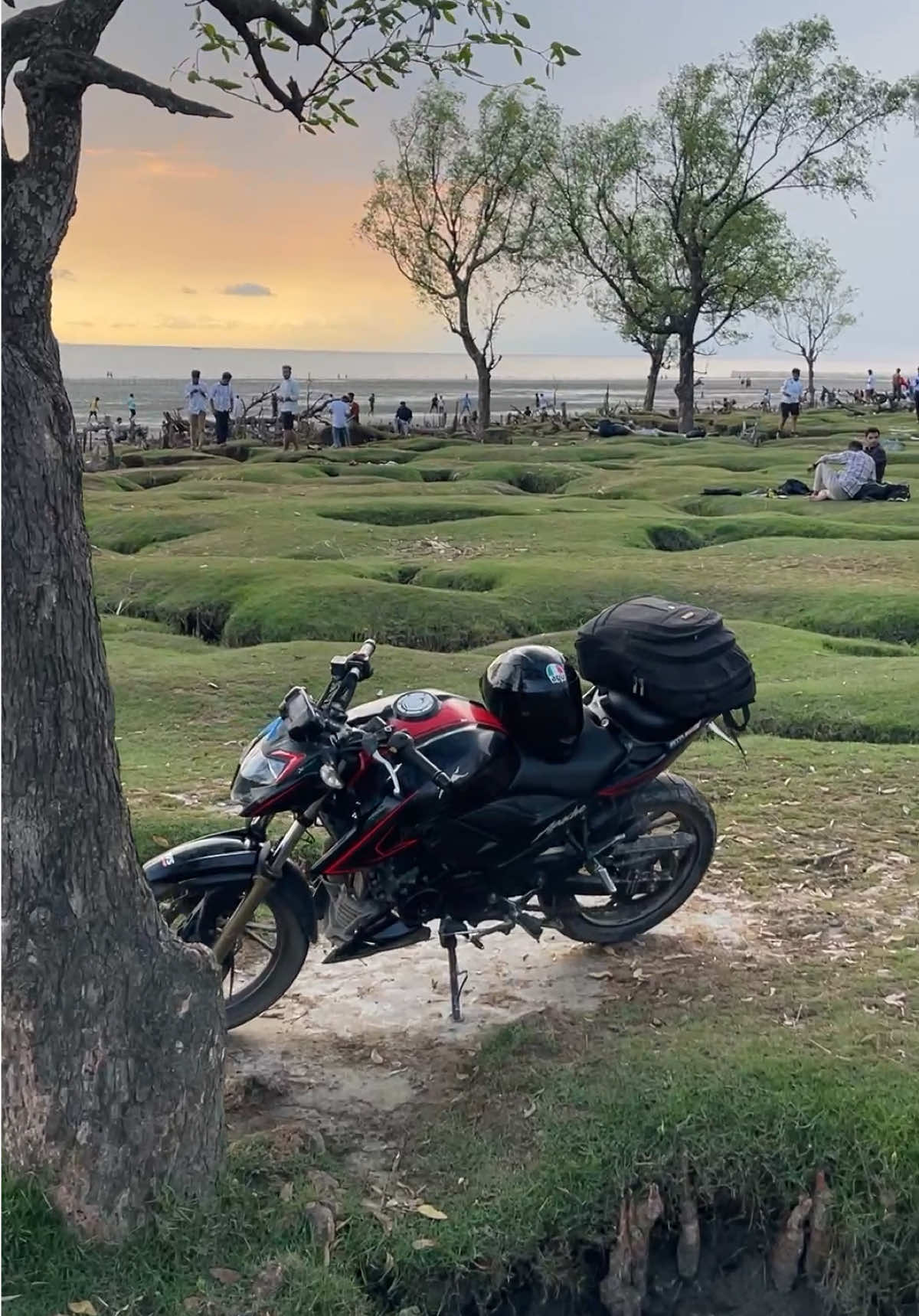 @It&rsquo;s Bikebuzz