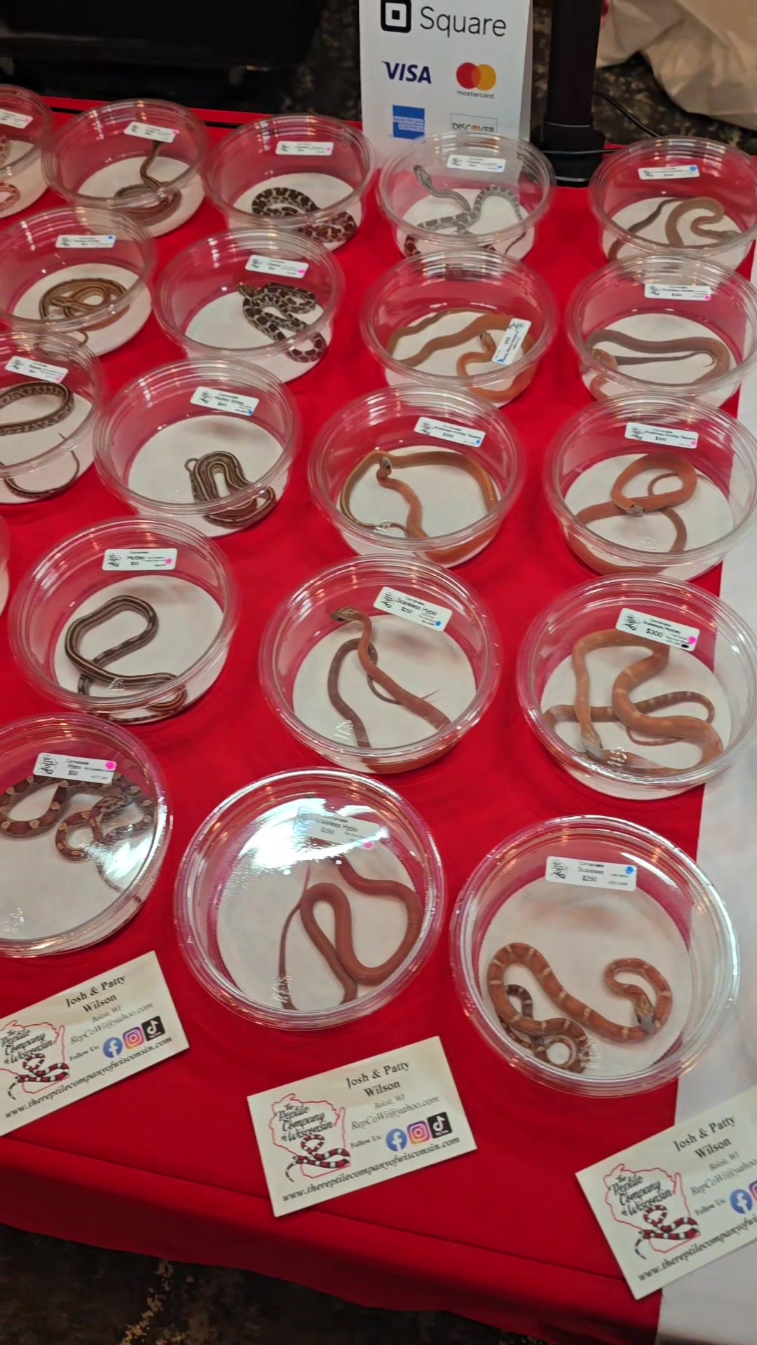 @TheReptileCompanyofWisconsin