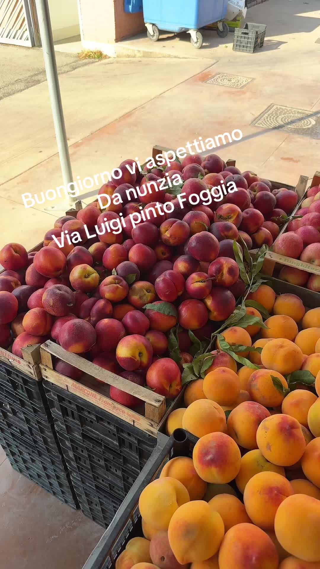 @frutta e verdura da nunzia
