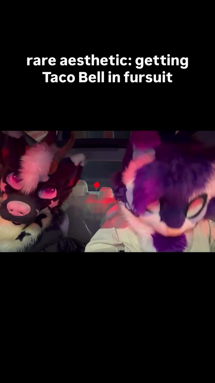 @Starlight @ FWA