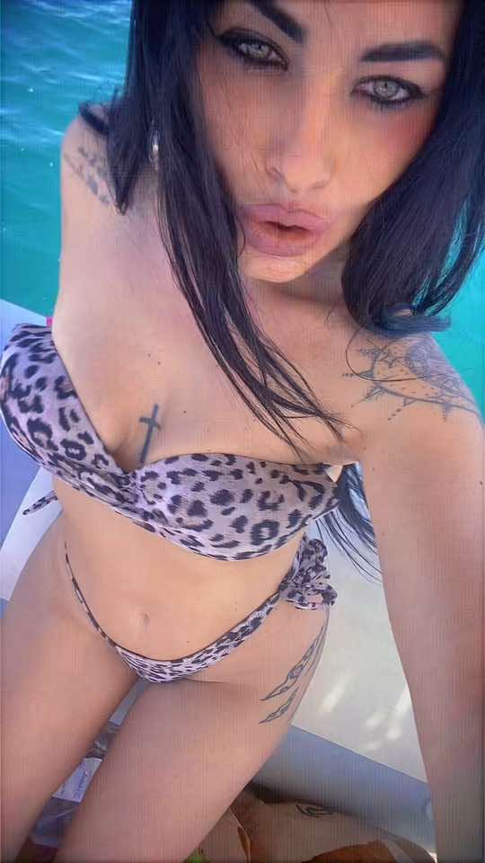 @dinacardone_official