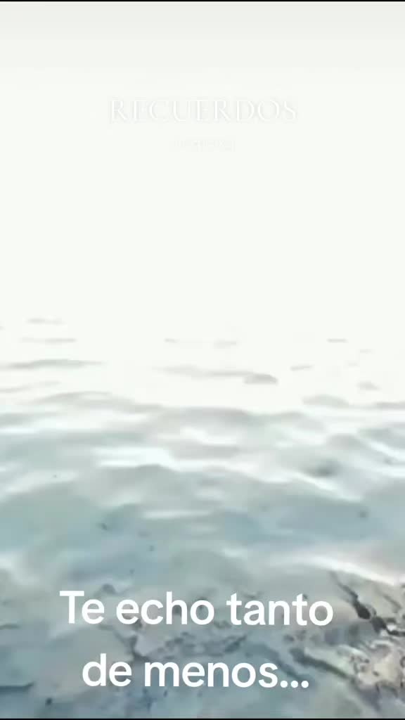 @MirenMC