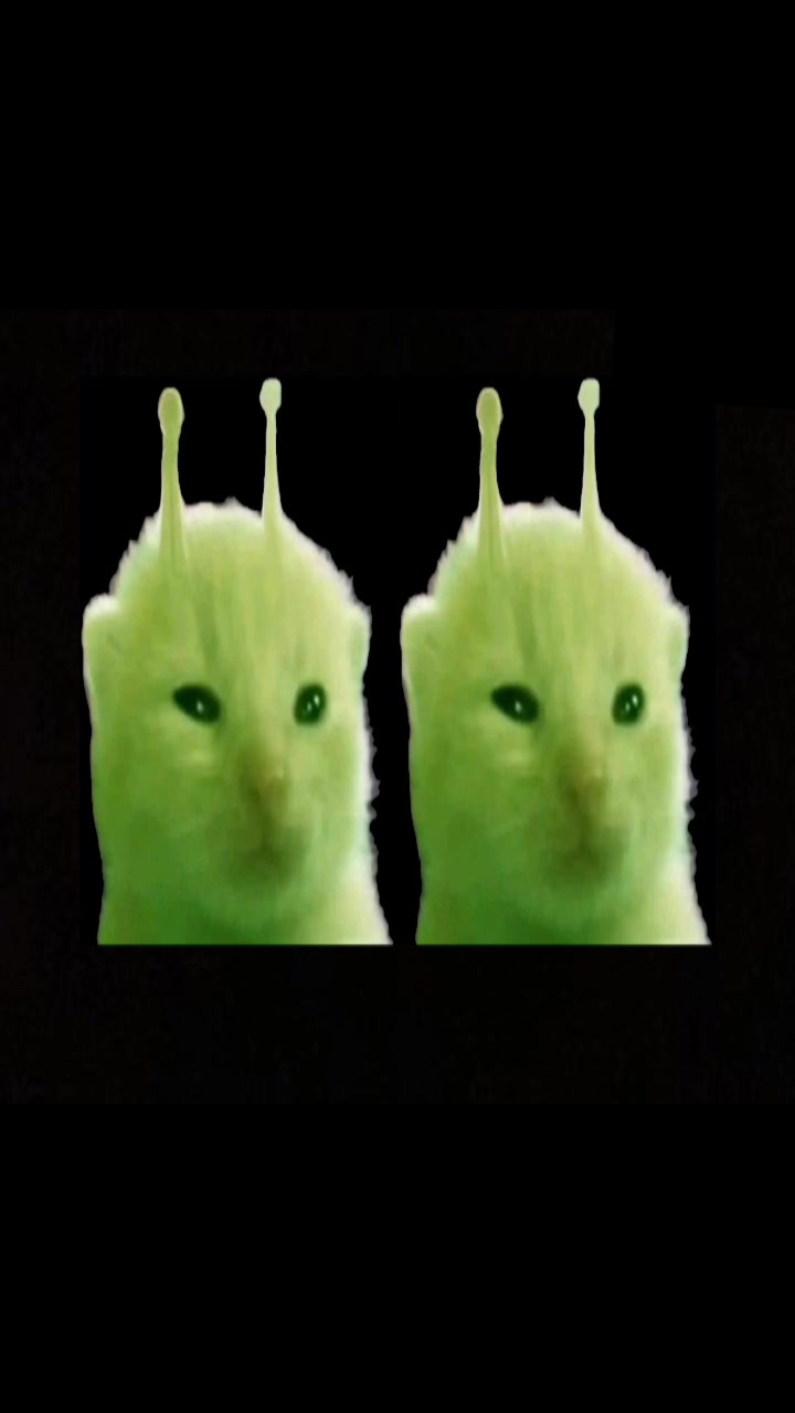 @𝔗 𝔞𝔪 𝔞𝔩𝔦𝔢𝔫 👽🫩