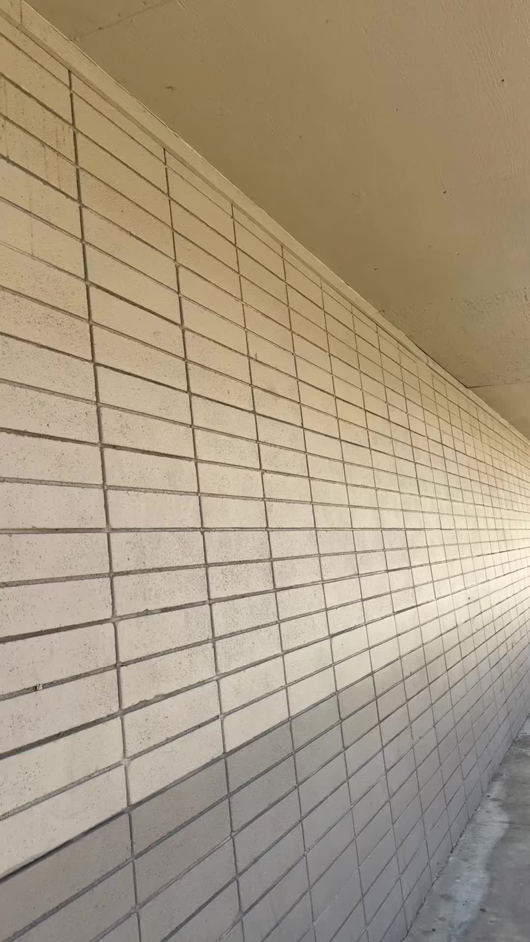 @๐๐ถ๐๐๐