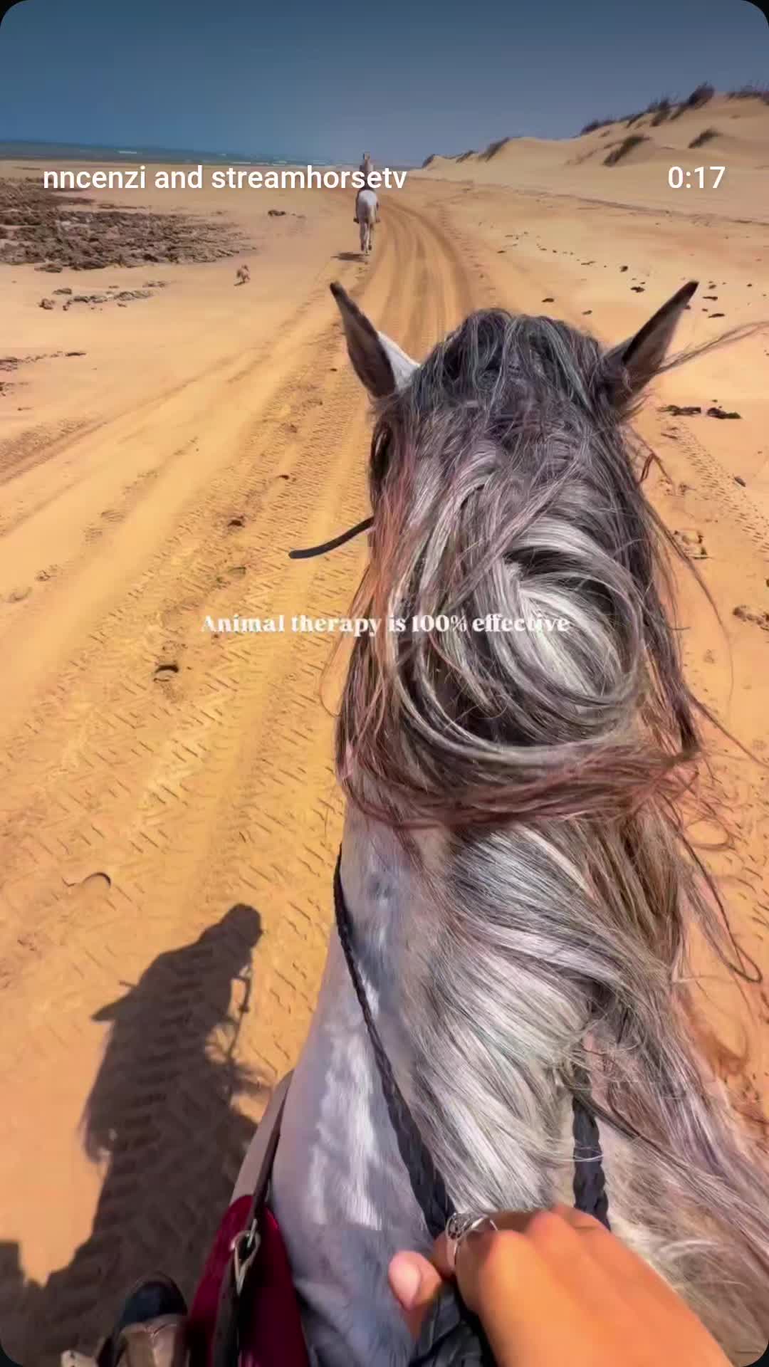 @streamhorse