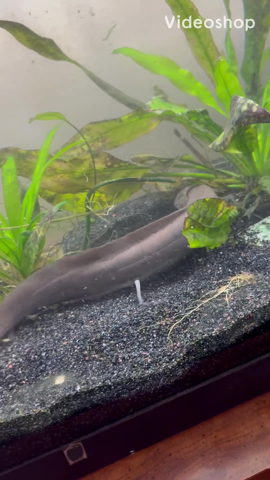 @fishdaddy2002