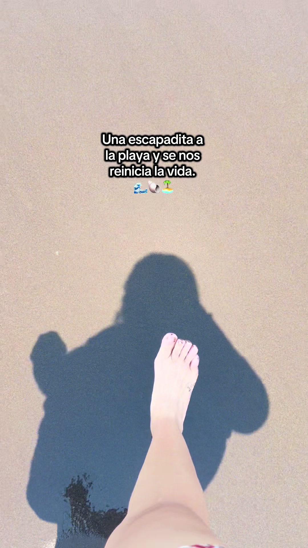 @Erika🪻