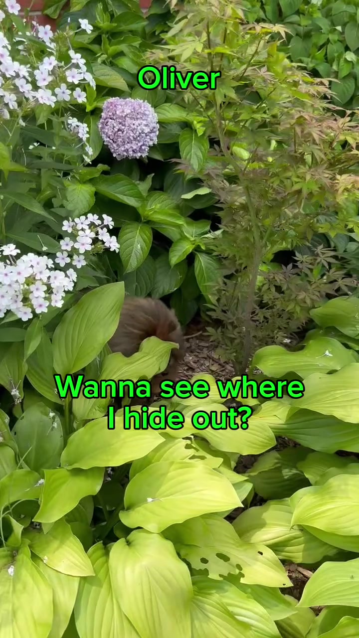 @all.my.babies