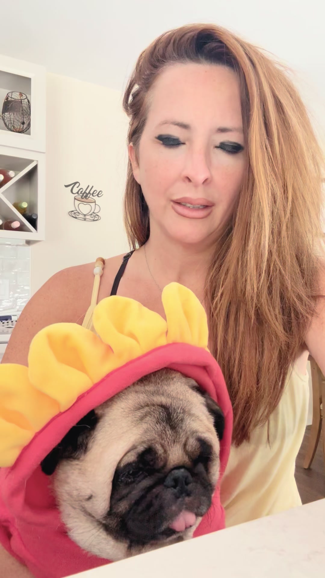 @PEARL - Quadruple-Amputee Pug