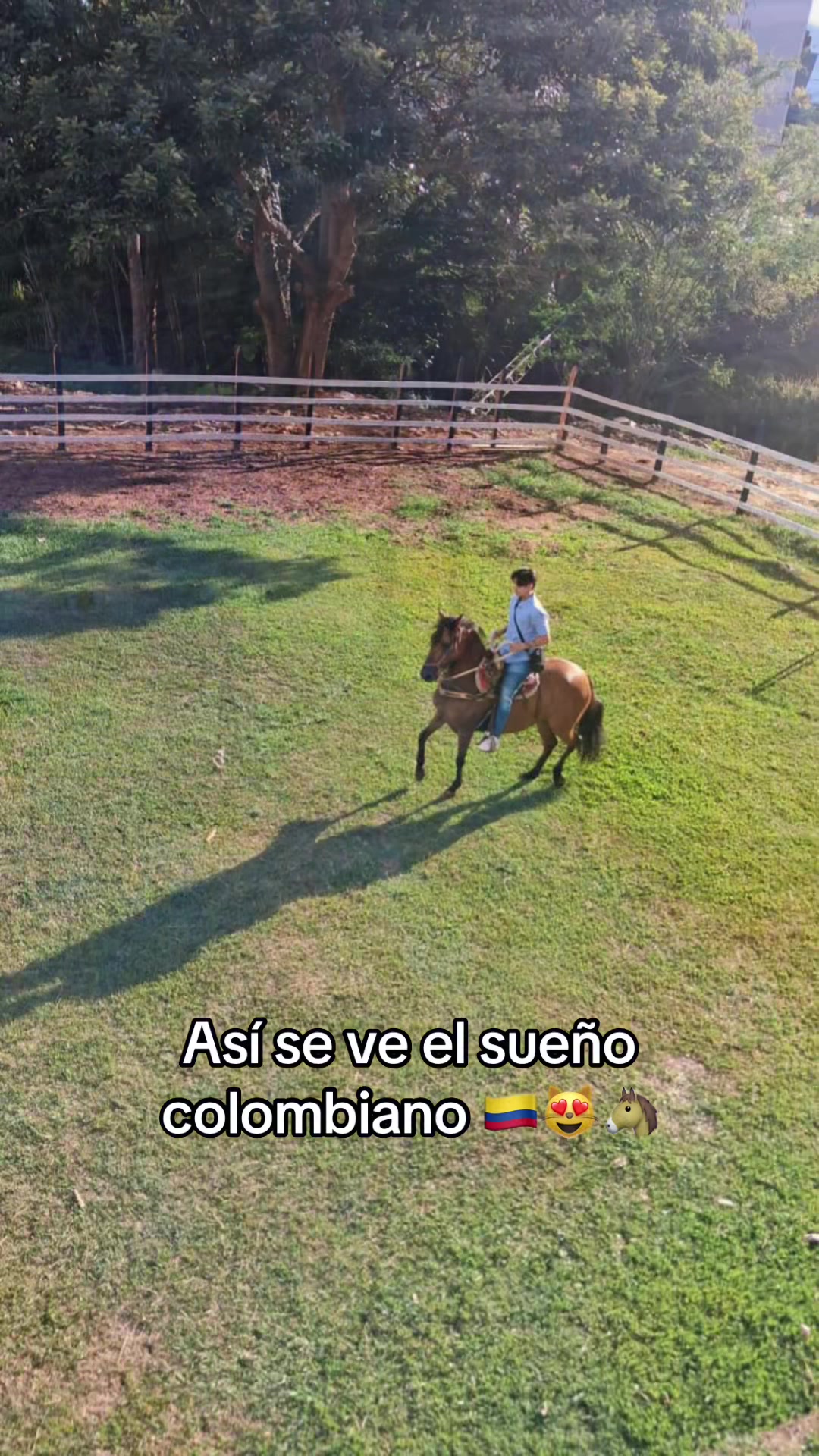 @Luisa F Puerta