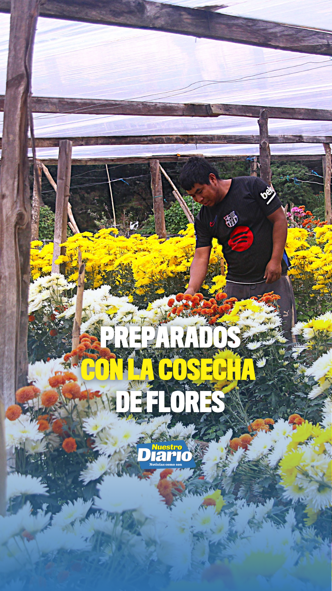 @Tiktok oficial Nuestro Diario