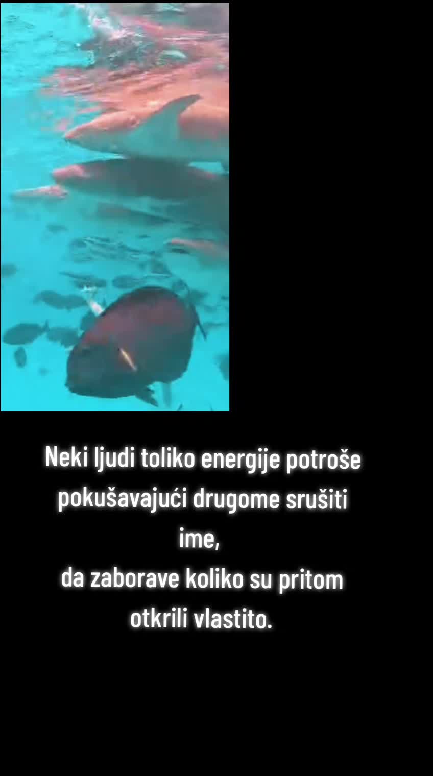 @⭐️solo igračica✈️ 🥇 ®️