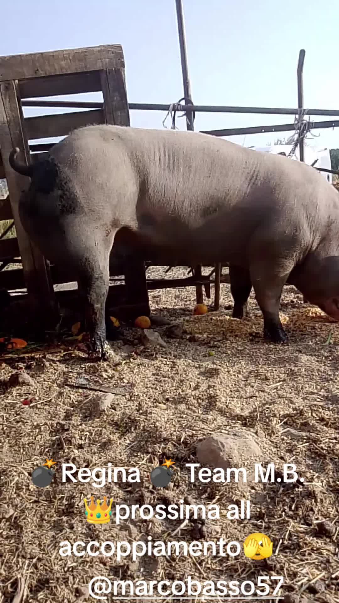 @Stefano Zagara