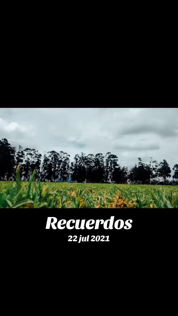 @Camila Zea