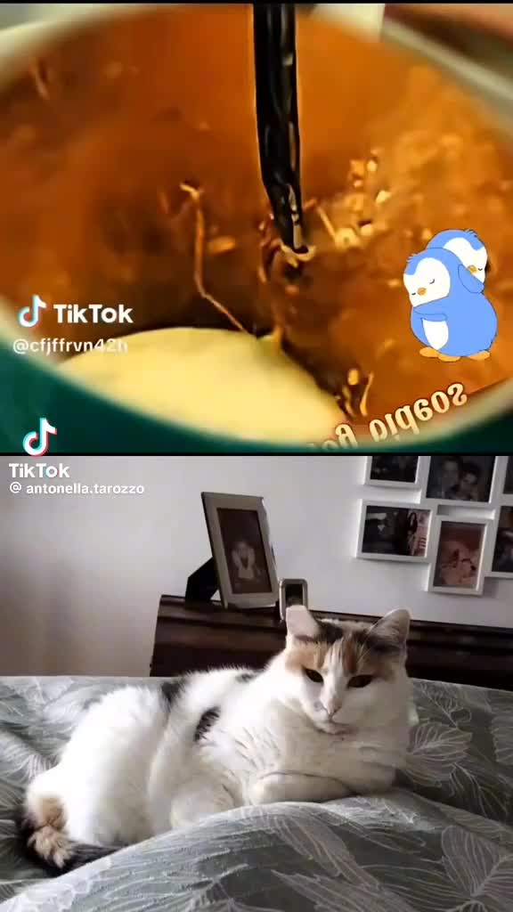 @Antonella Tarozzo