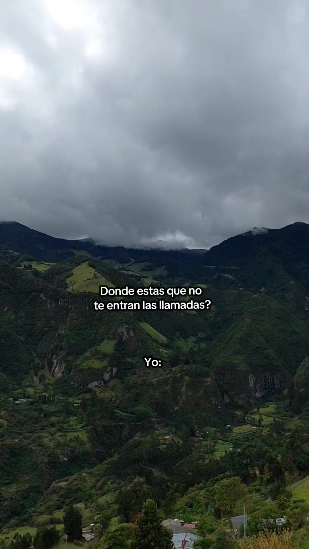 @Carol🦋
