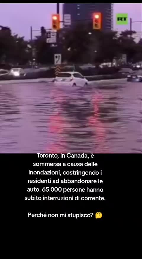 @Elena63Eric