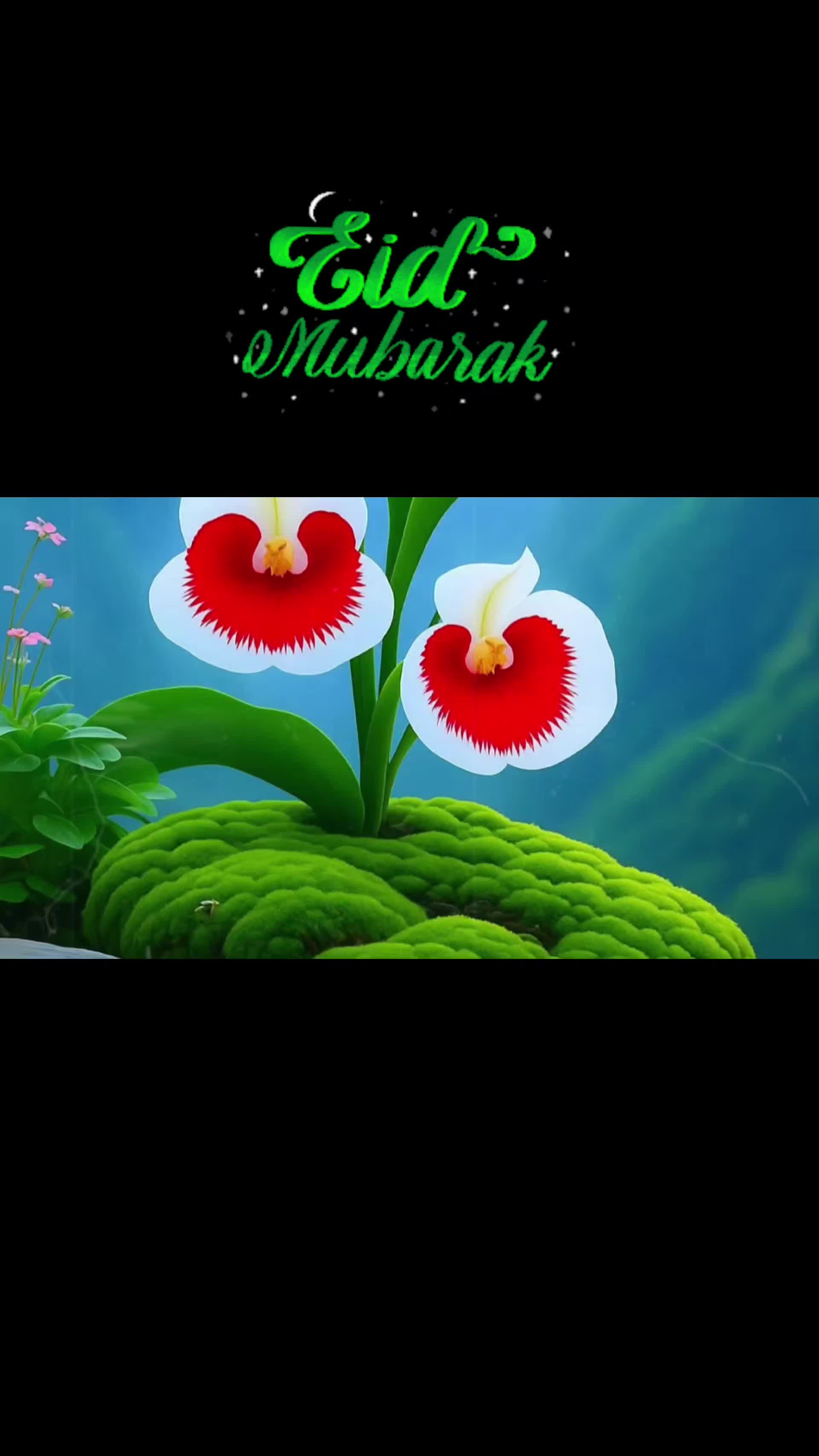 @Arfa Arfa