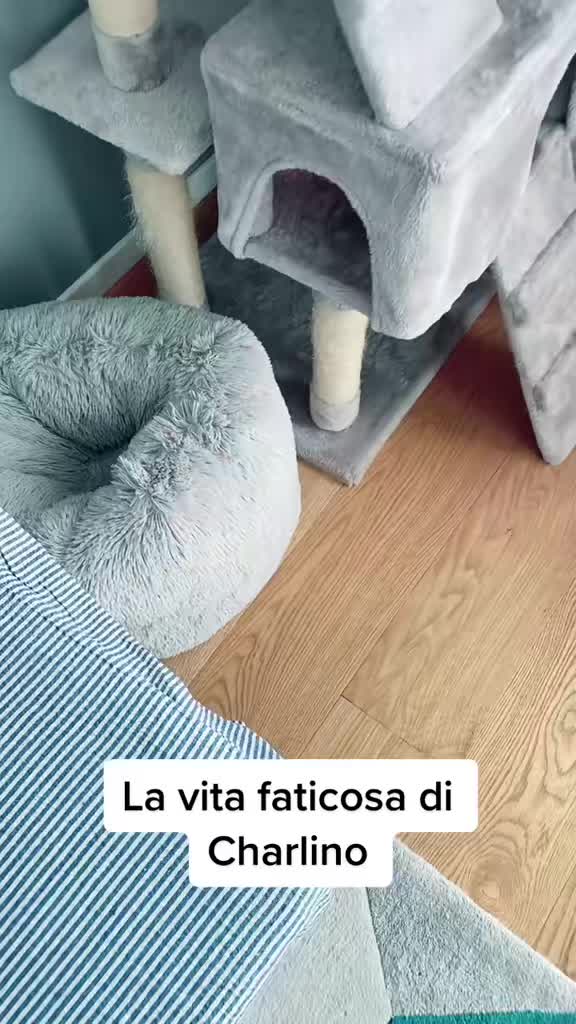 @Cristina Tarantino