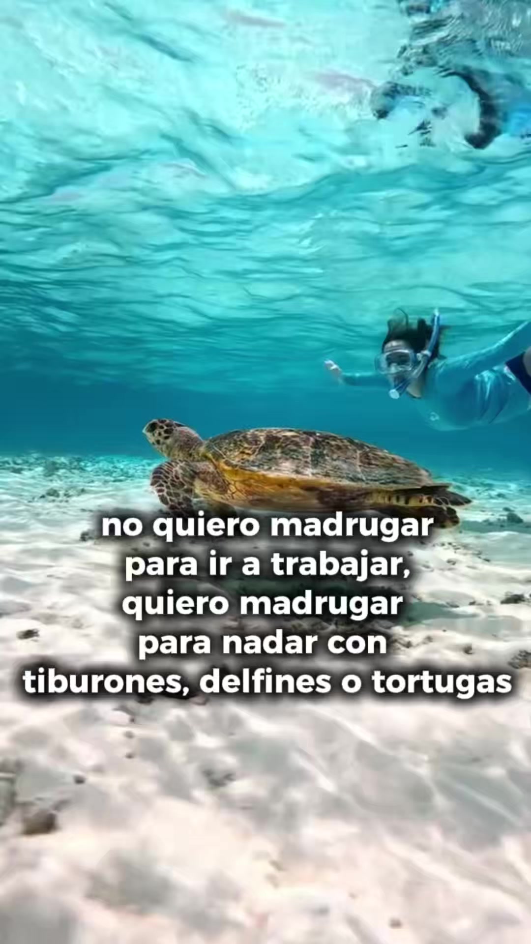 @uvacviajes