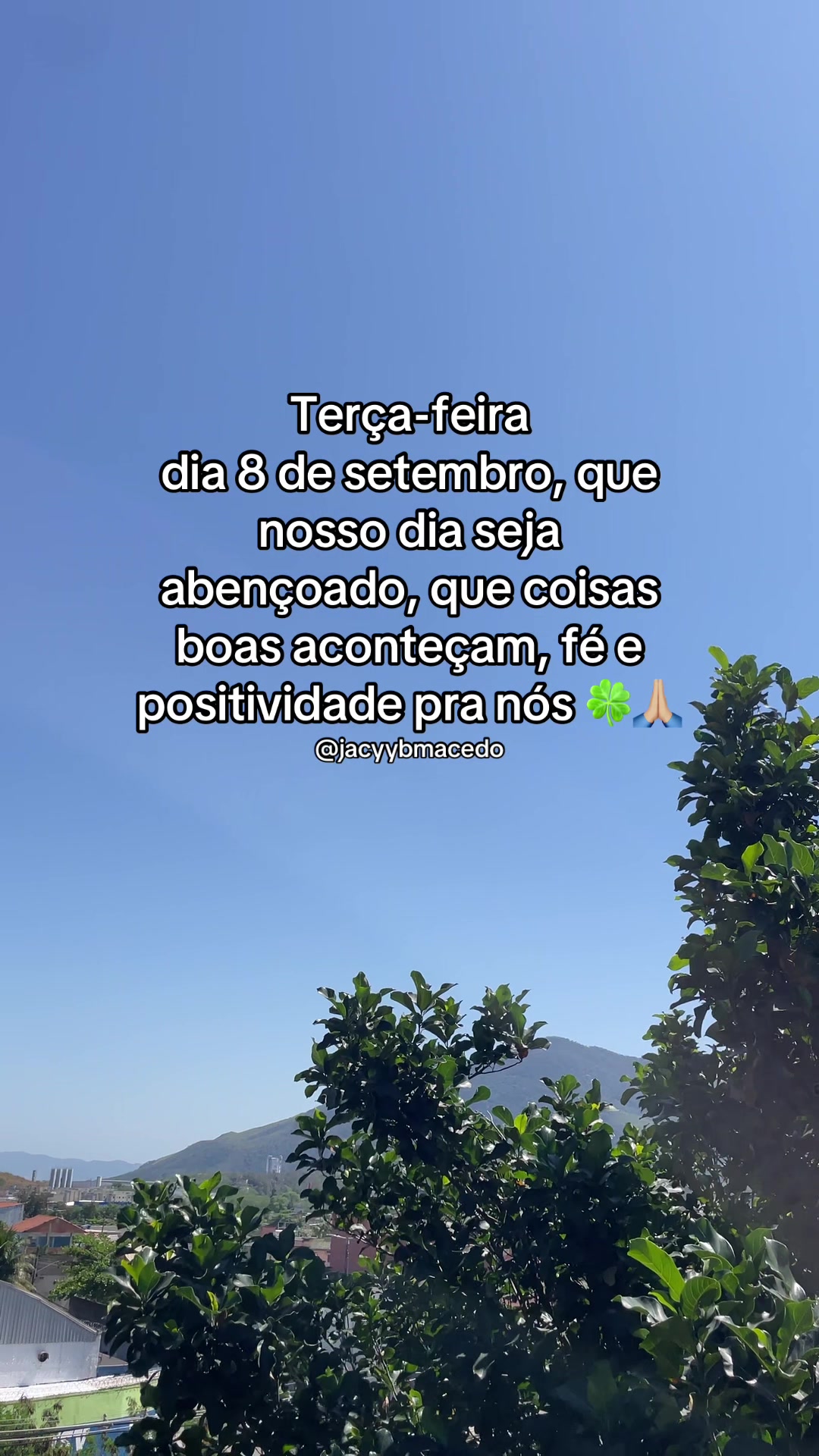 @jacybmacedo