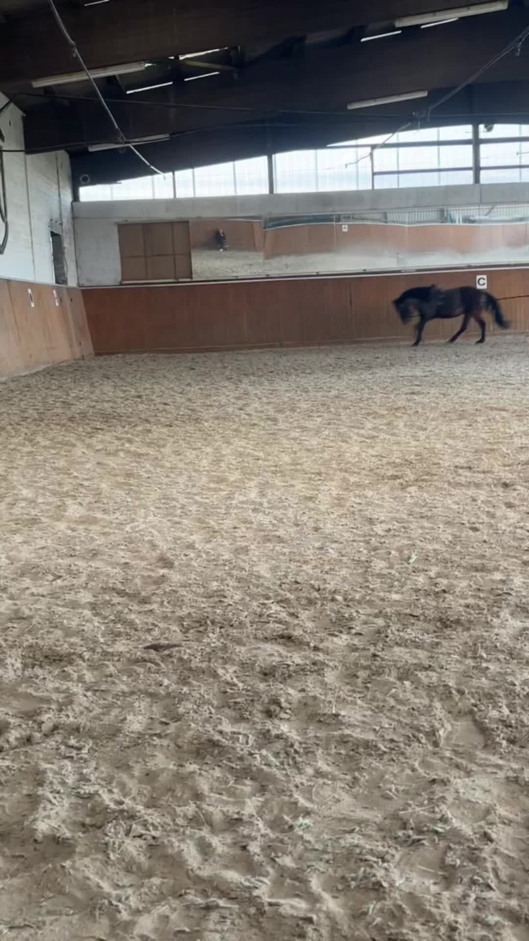 @Mooni & Vanessa 🐴
