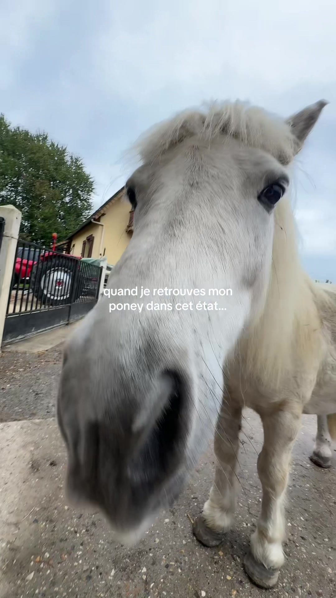 @benjyylepetitponey
