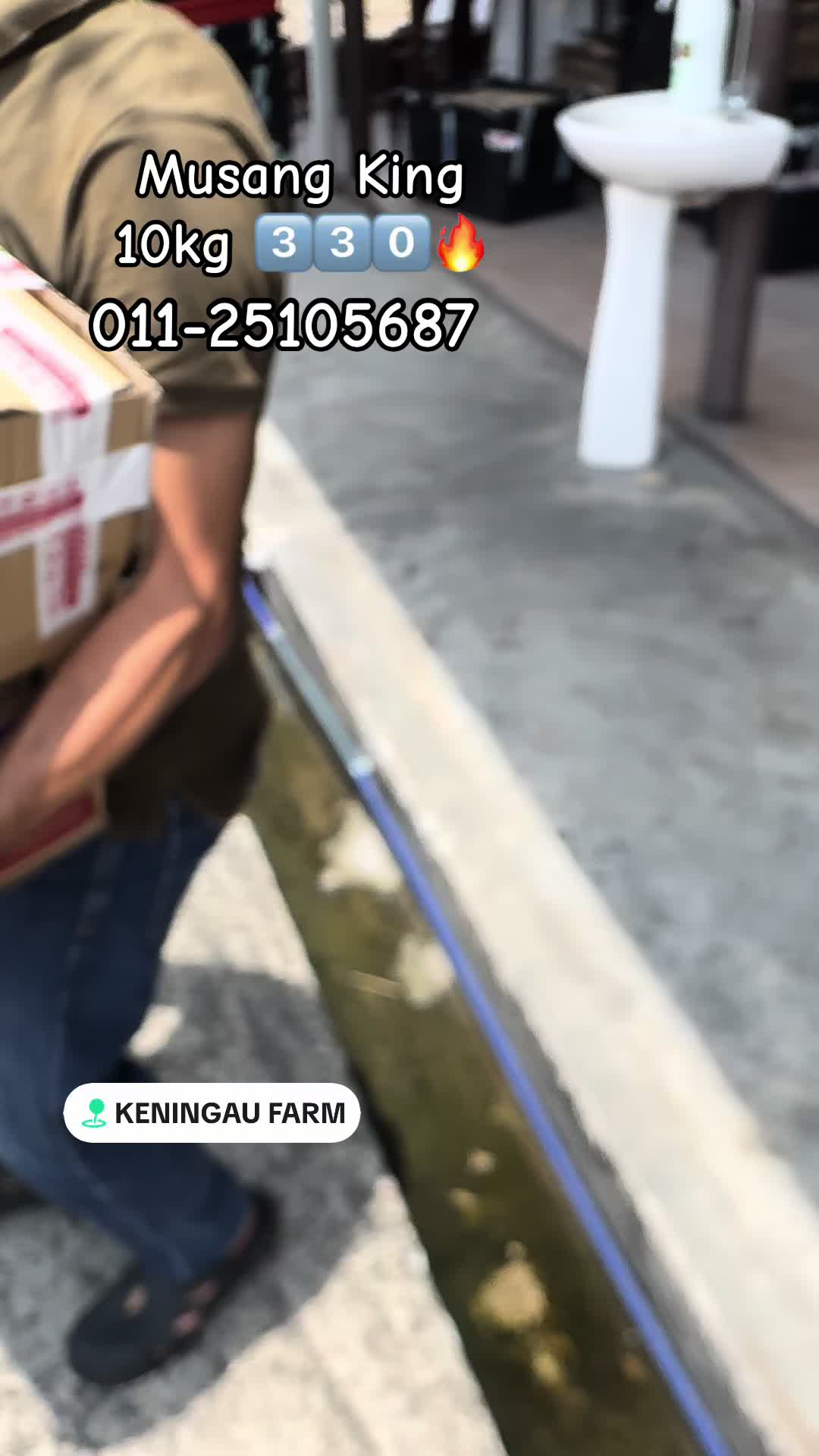 @Keningau Farm