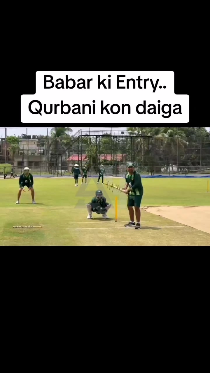 @Aali Hasan
