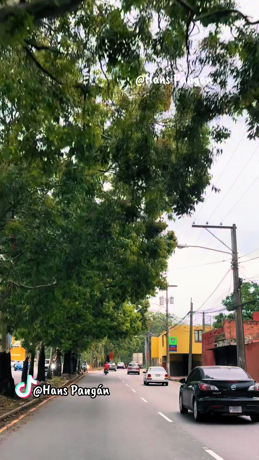 @🎥🇬🇹𝑯𝒂𝒏𝒔 𝑷𝒂𝒏𝒈𝒂́𝒏✅&reg;