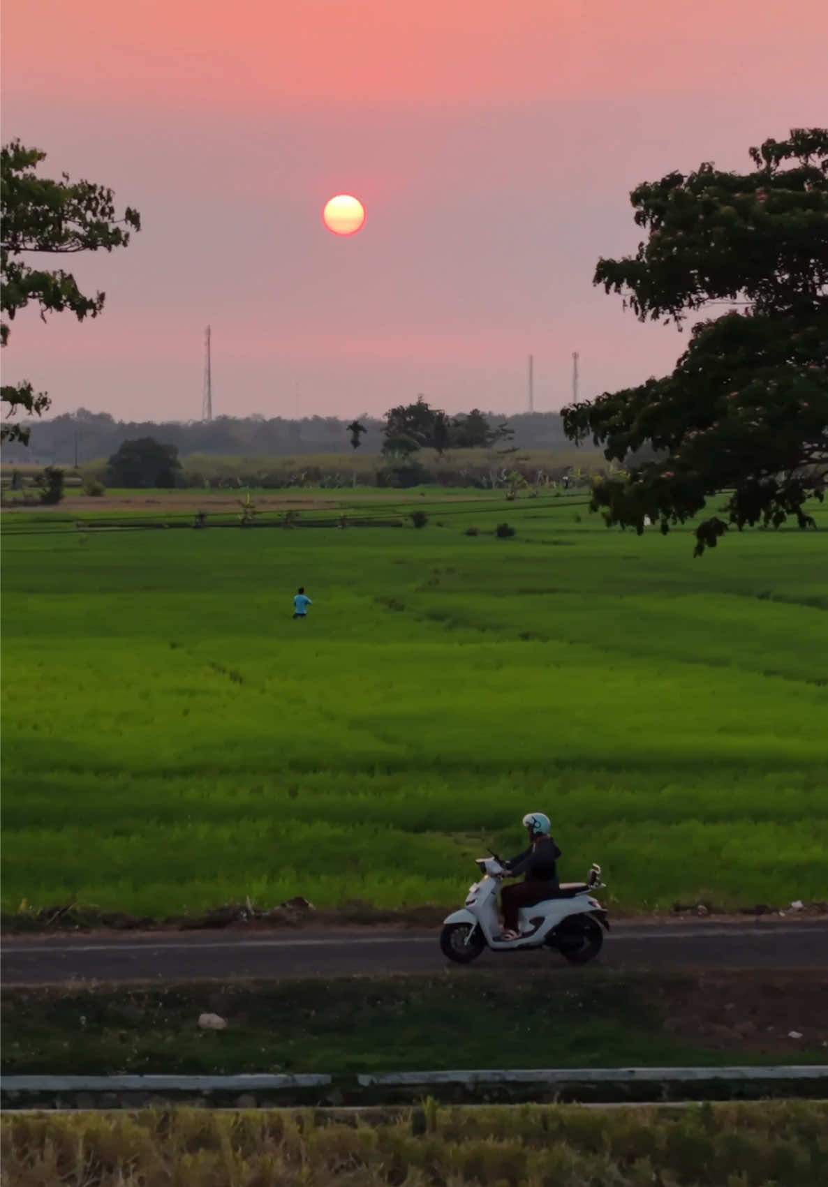 @fotograferjogja6