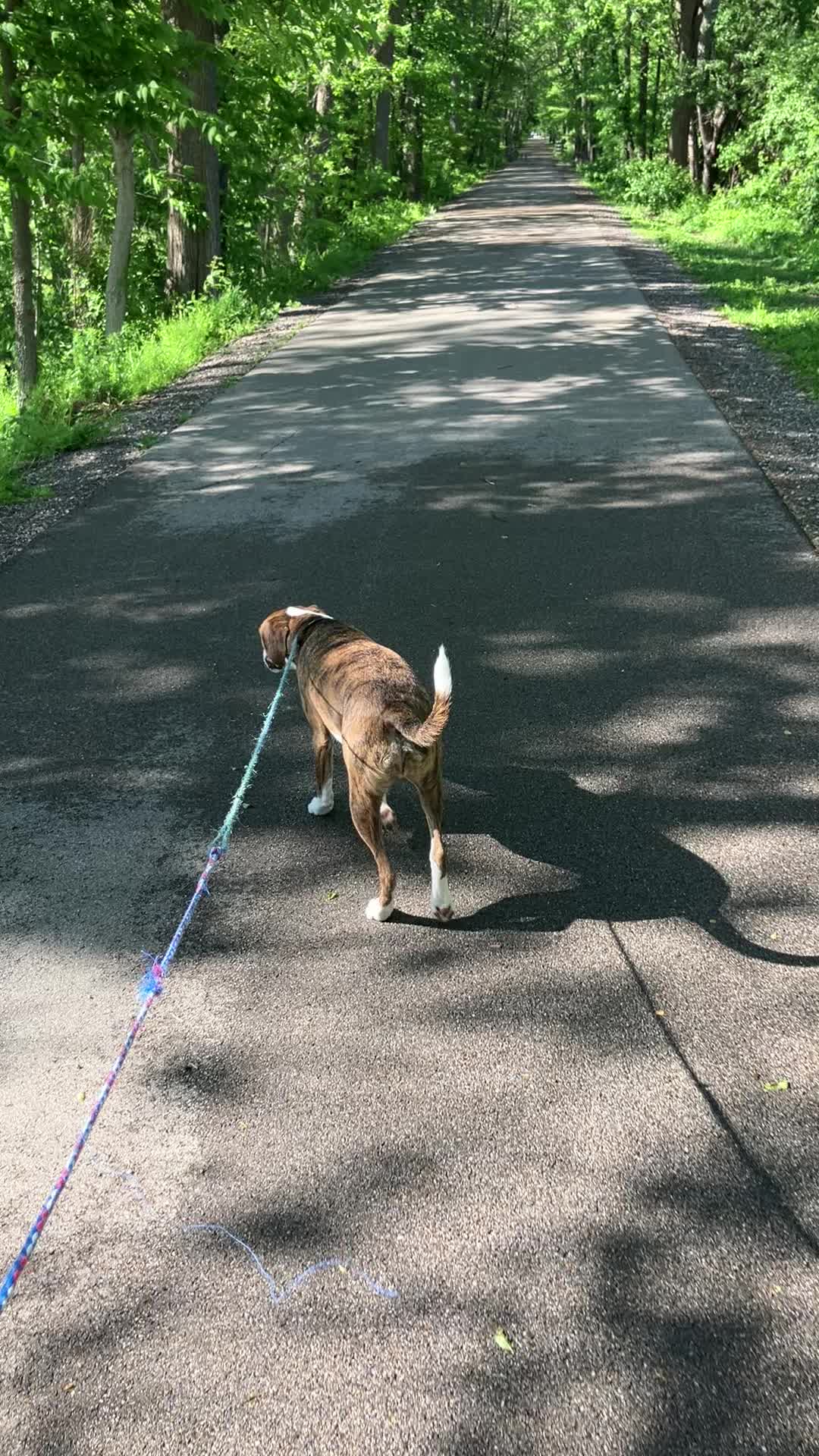 @Hikingwithstanley