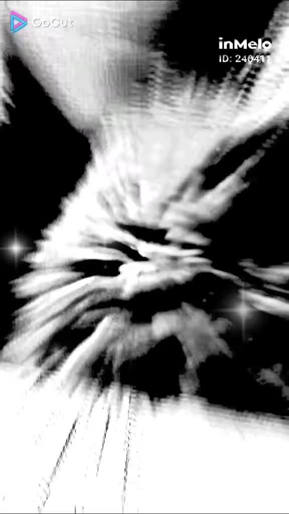 @ł₮₴ ₥Ɇ 💯