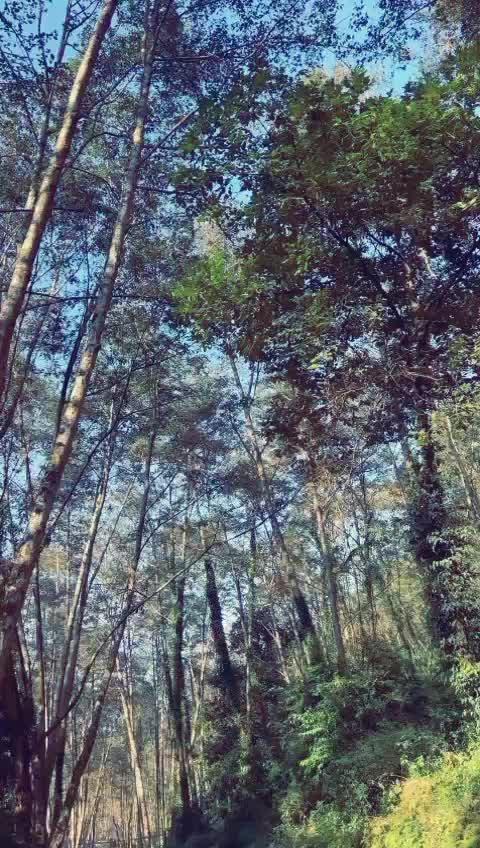 @K&acirc;m&agrave;l T&atilde;m&aring;&ntilde;g