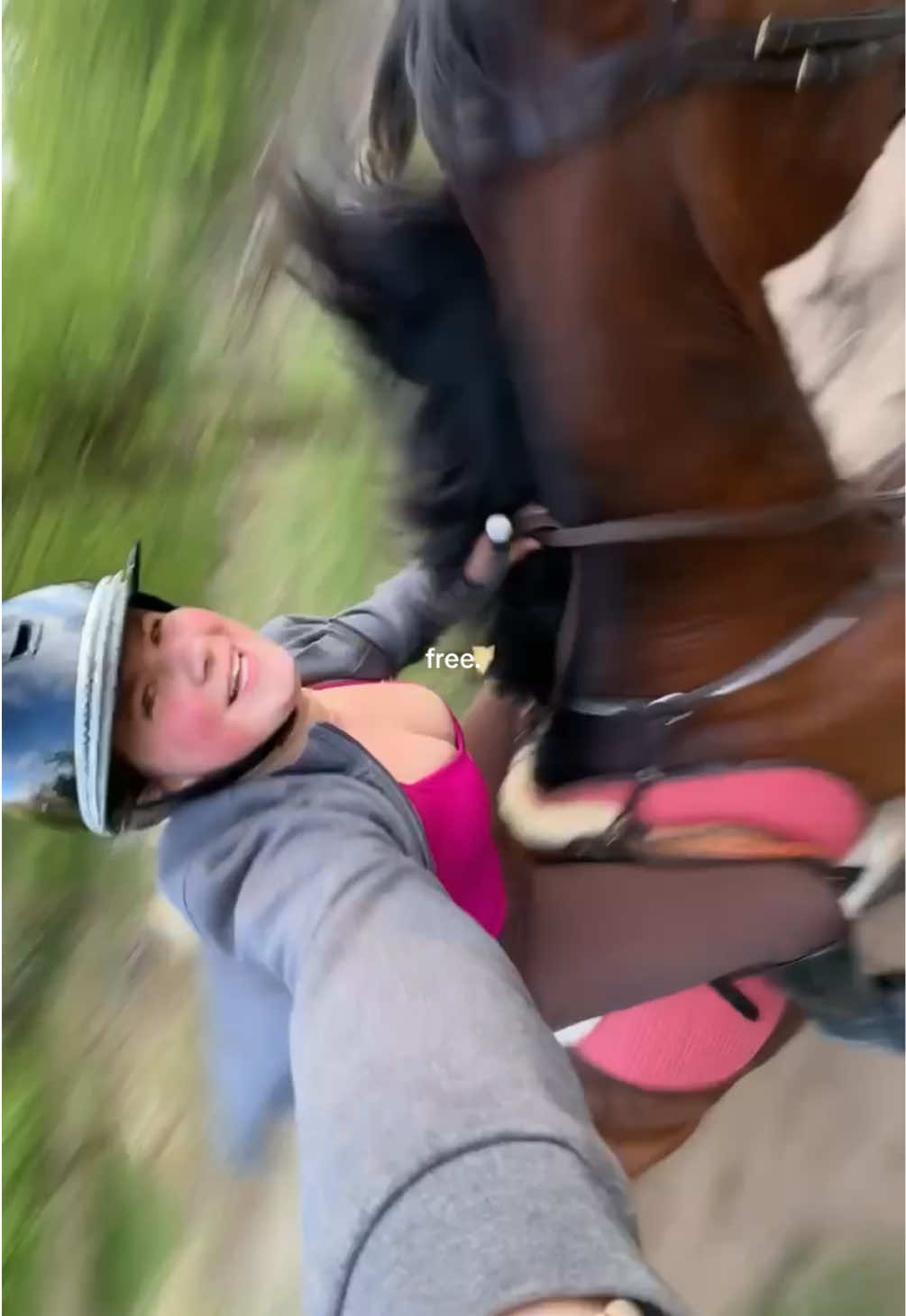 @equinikola