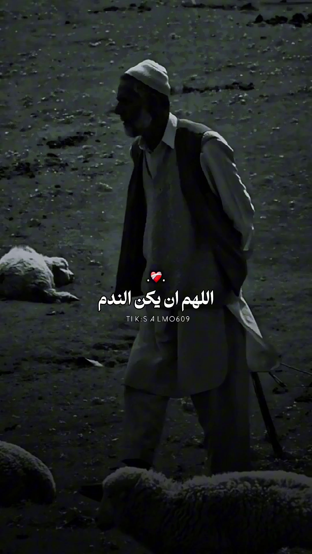 @SALMO609|ســـــلـــــمـــو