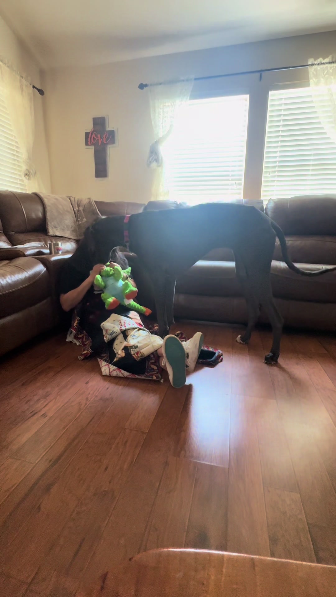 @janethegreatdane