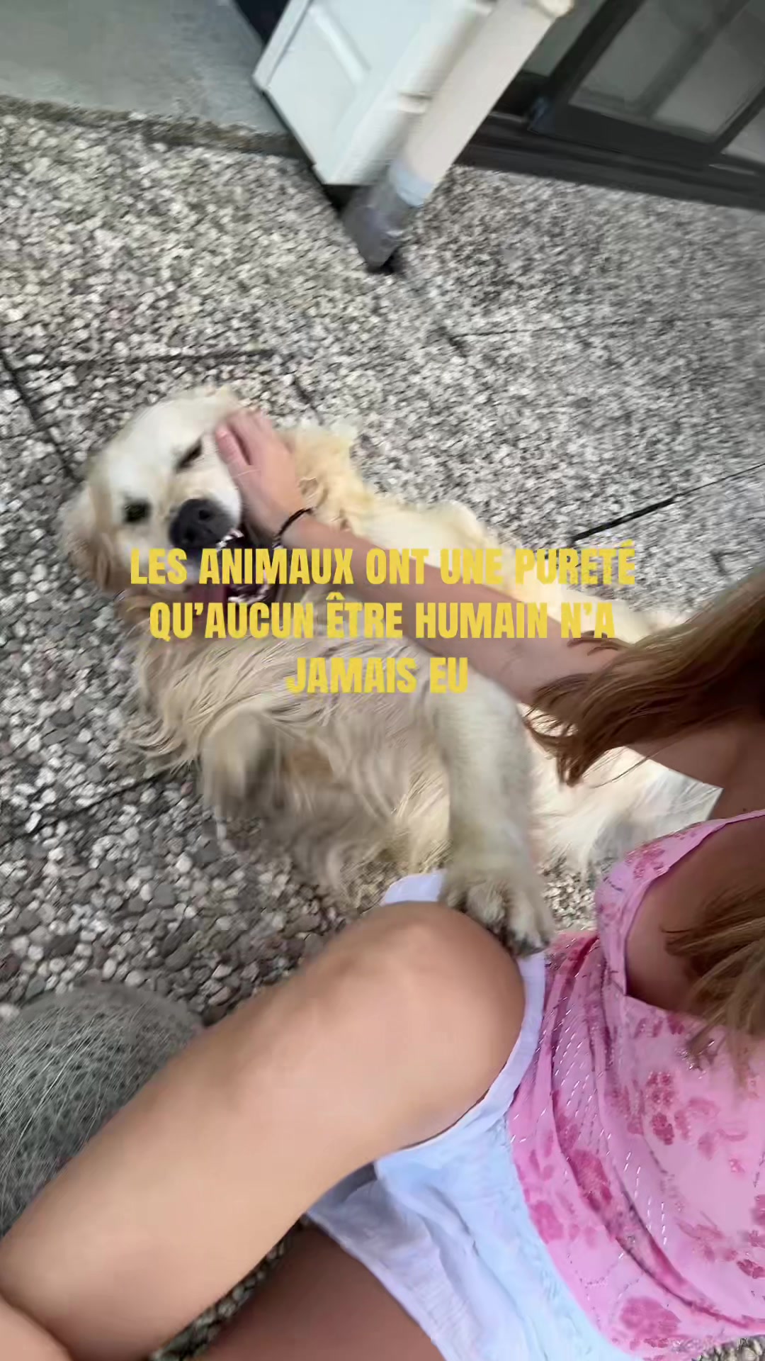 @lolaaa
