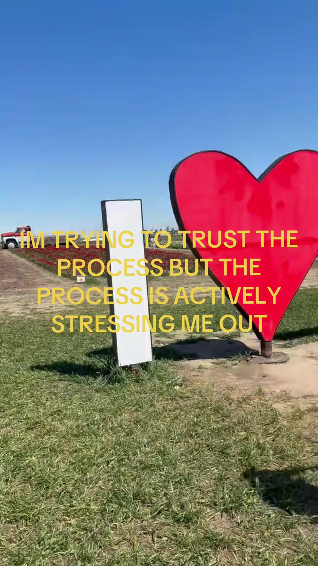 @Camweeney