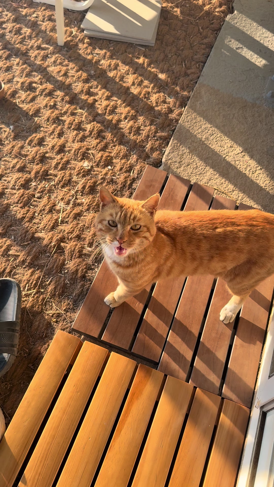 @오늘도 귀여워