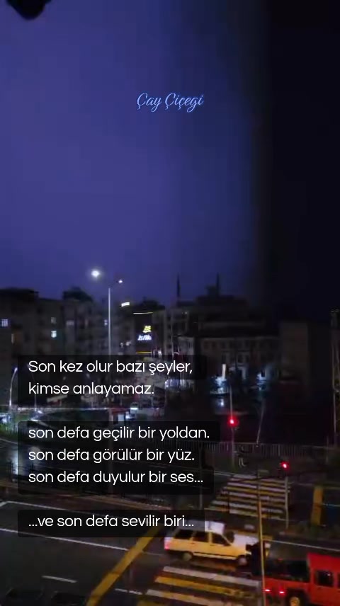 @Çay çiçeği-53