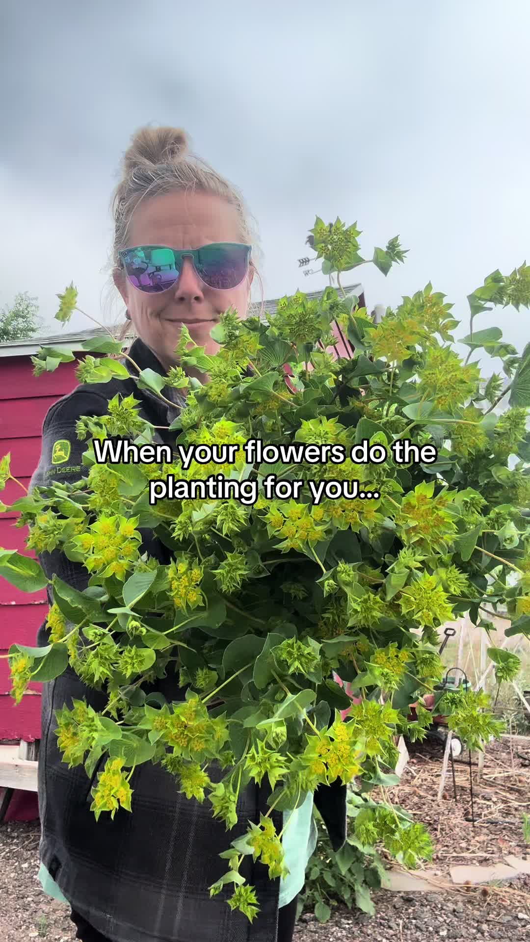 @Sandy Acres Farm