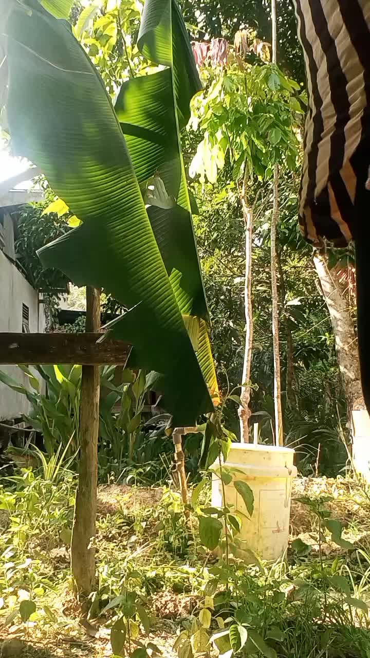 @Kepoya?