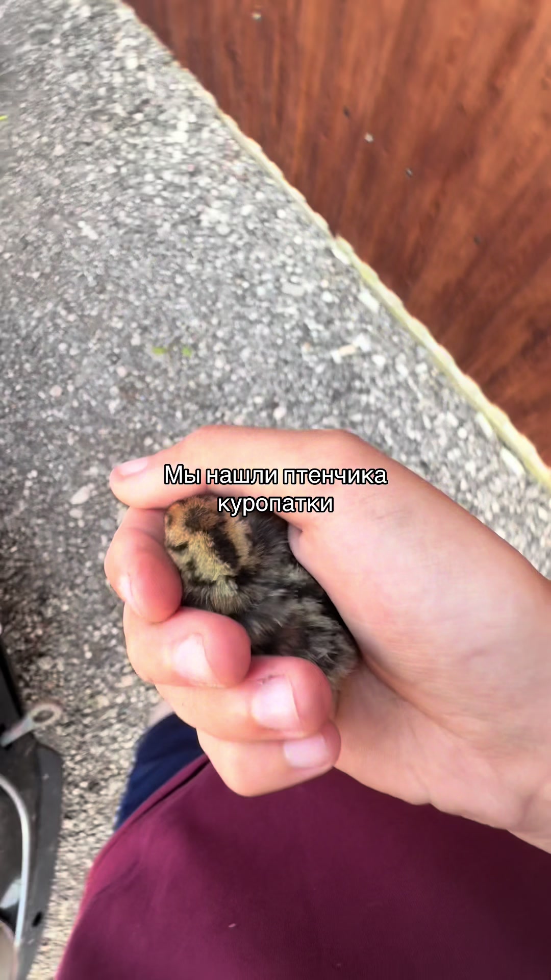 @Варя🐟