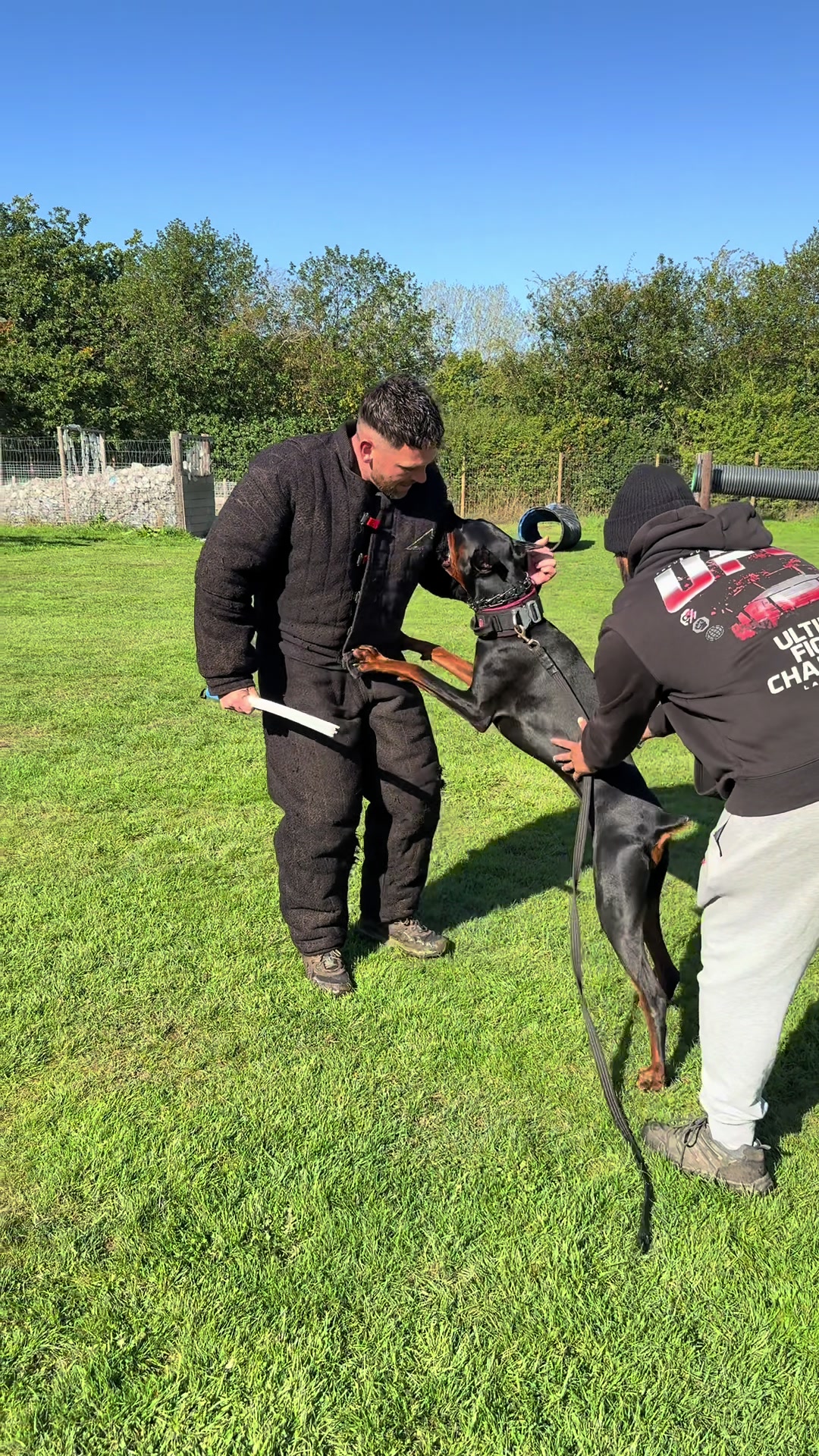 @protectiondobermanns