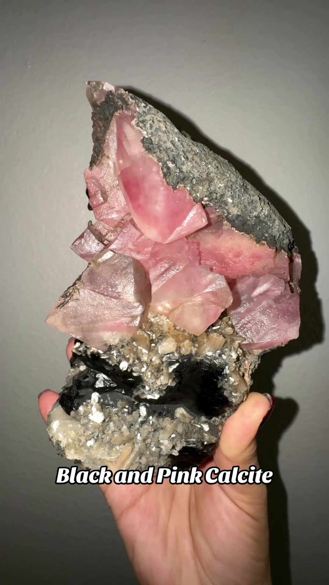@Bella&rsquo;s Crystal collection