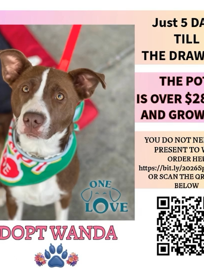 @One Love Animal Rescue Group