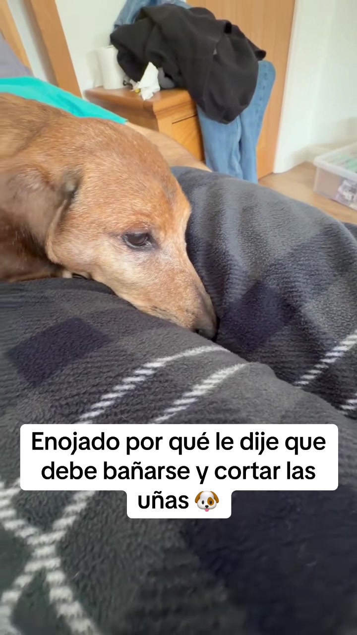 @Chilena Petite