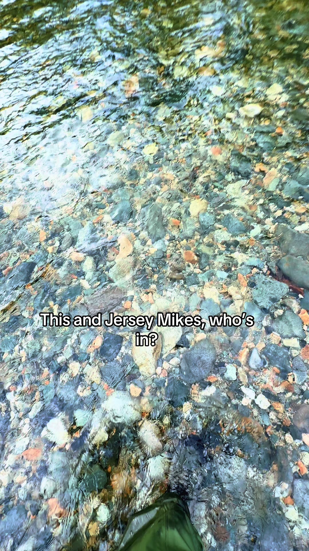 @🌲 James | WA 🏔️