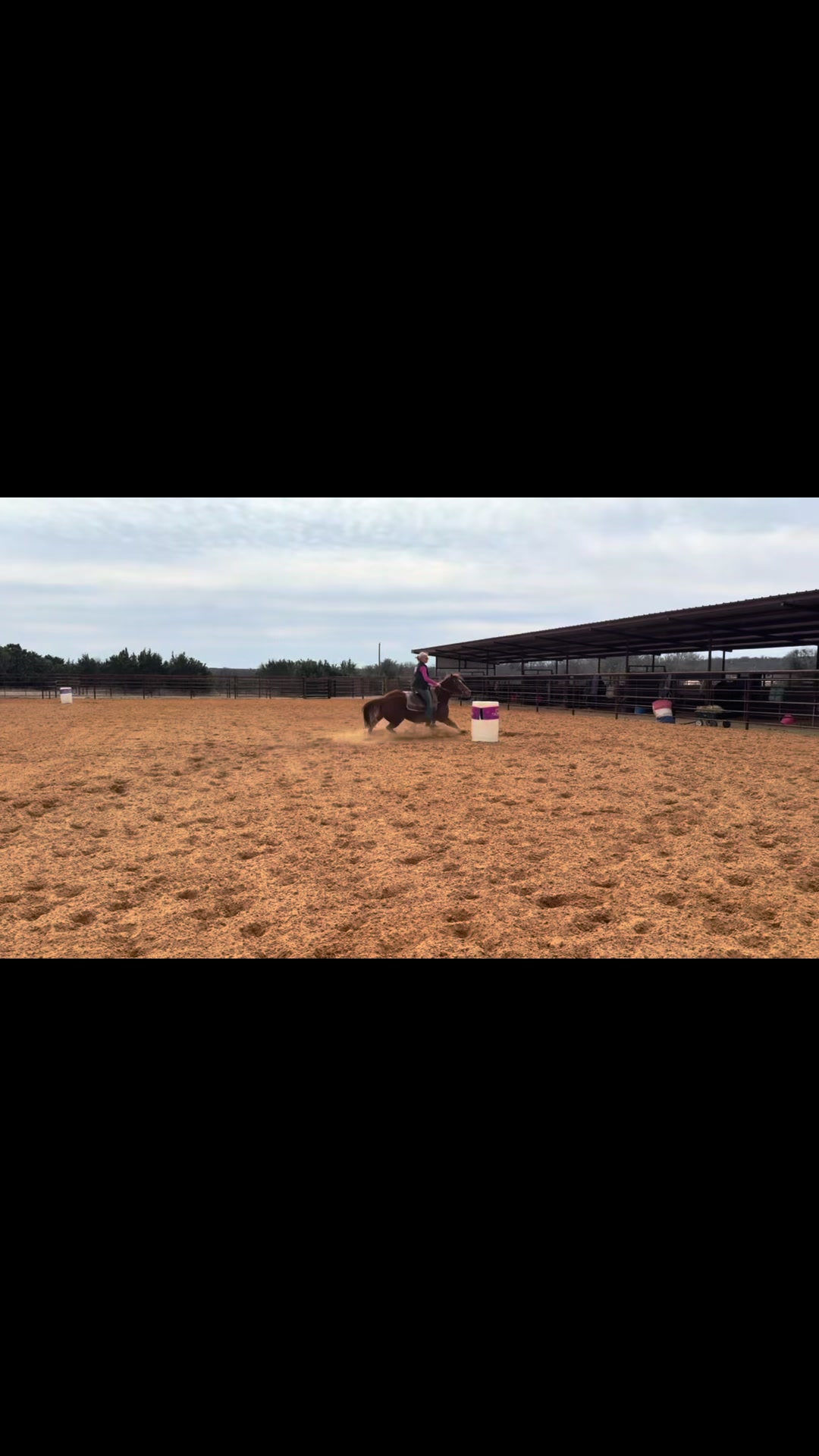 @88 Ranch Performance Horses